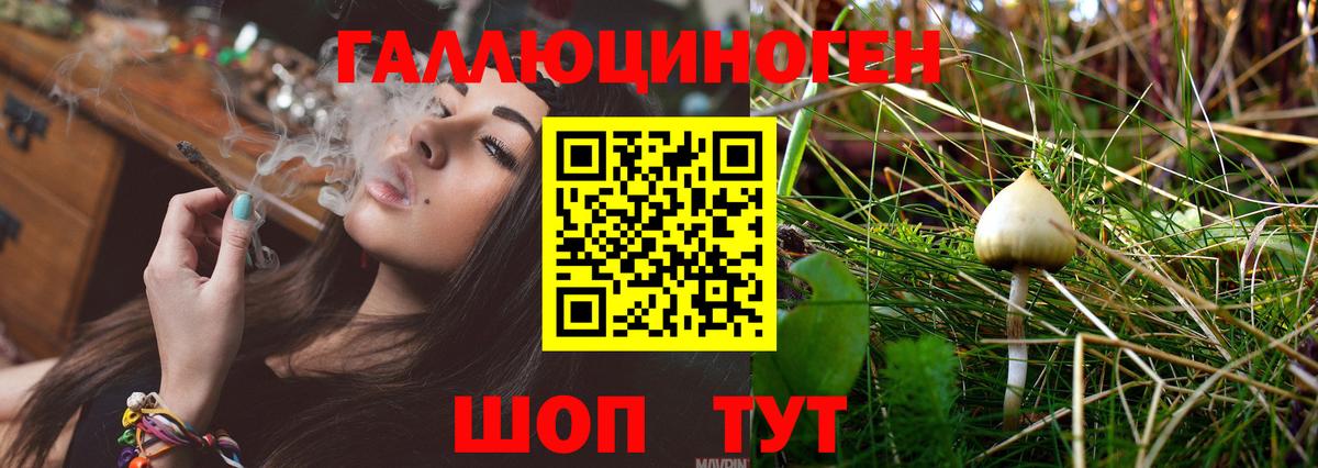Псилоцибиновые грибы Magic Shrooms  Вход с VPN  Галлюциногенные грибы мухоморы  Щёлково 
